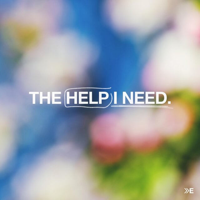 THE HELP I NEED