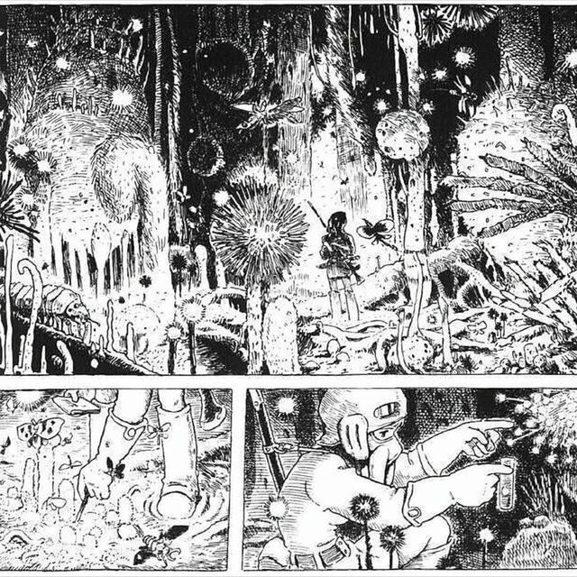 meadowsaga