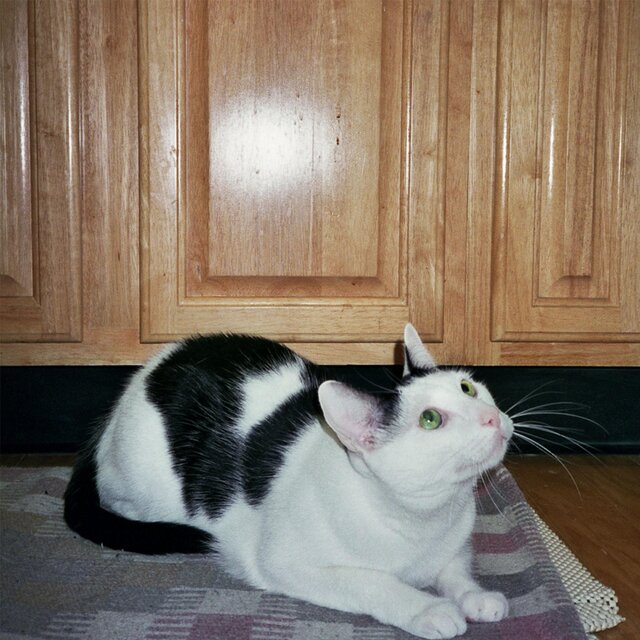randall