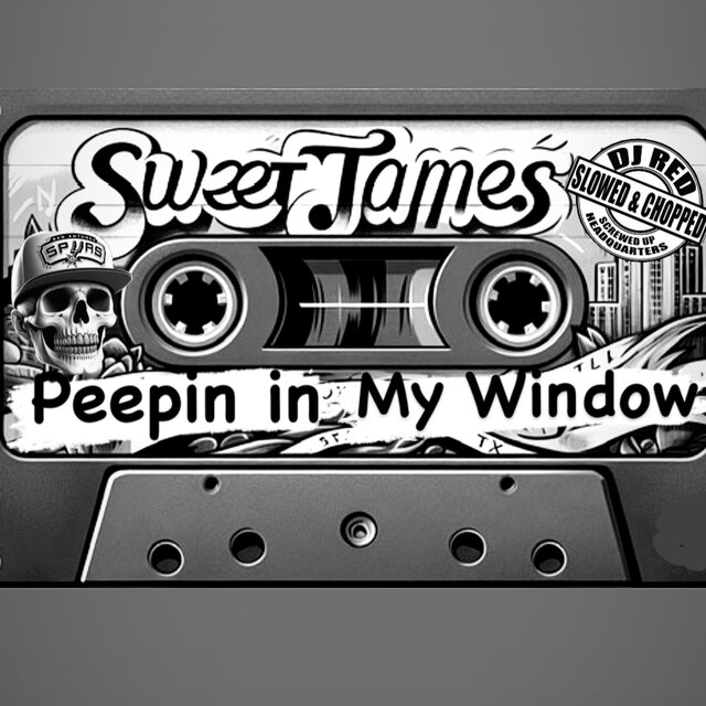 PEEPIN IN MY WINDOW (SLOWED)