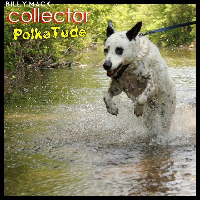 PolkaTude