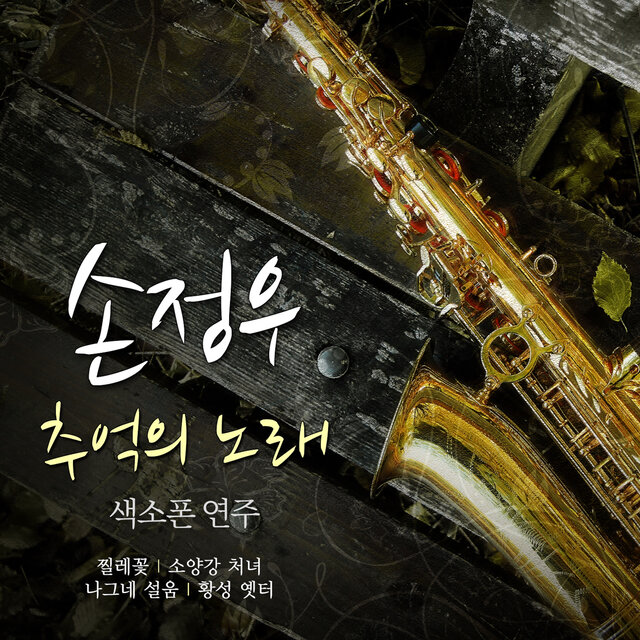 손정우 추억의 그노래