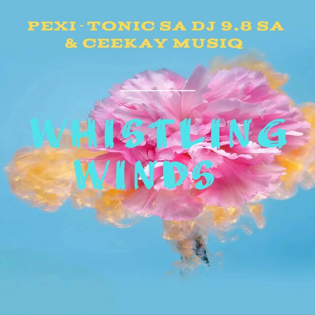 Whistling winds / Dj 9.8 SA - TIDAL