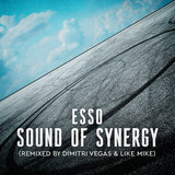 Sound of Synergy