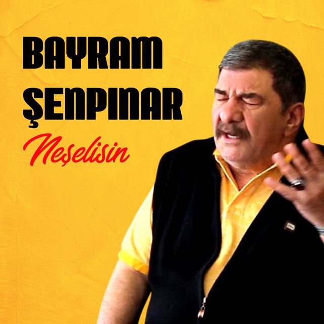 Neşelisin