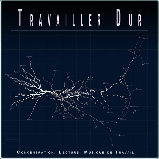 Travailler Dur : Concentration, Lecture, Musique de Travail