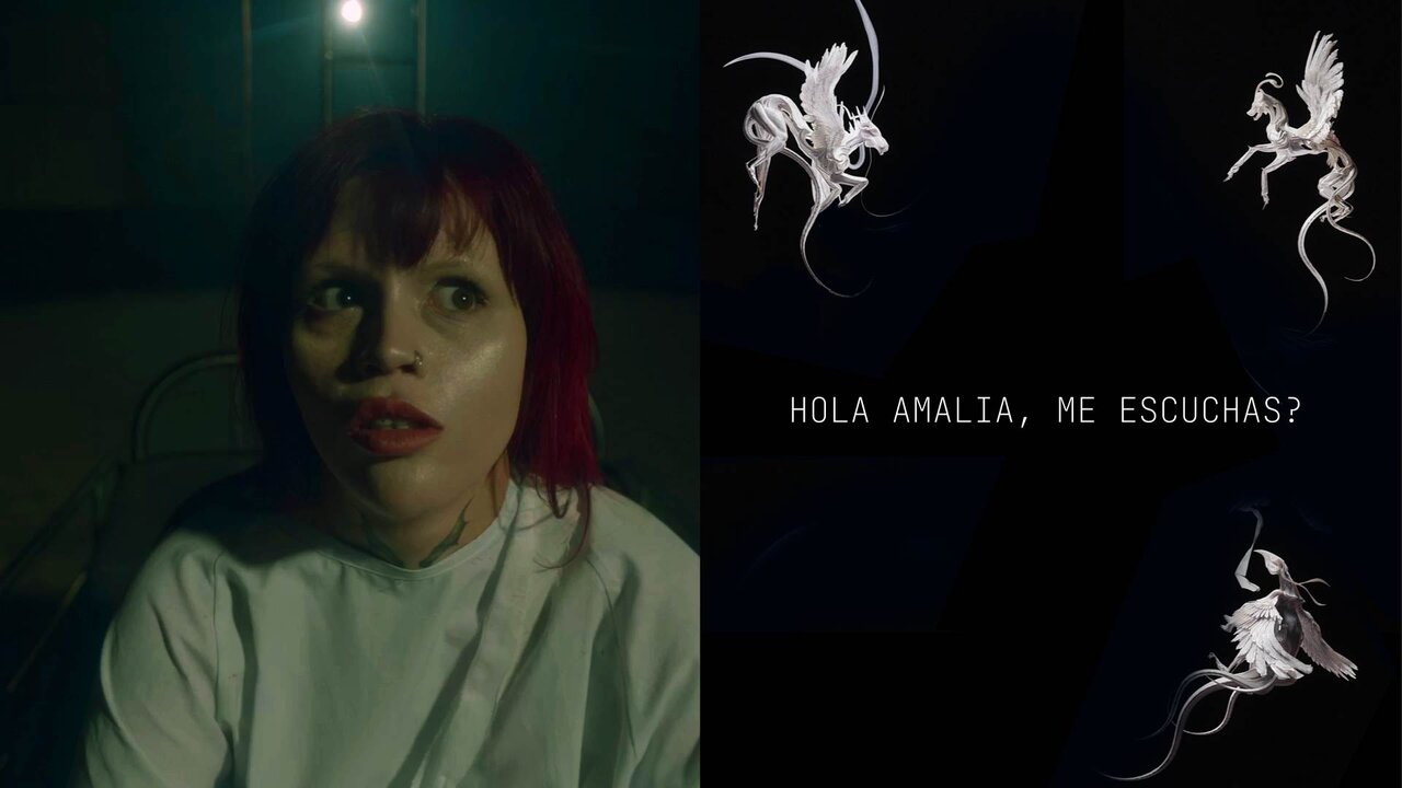 QUERIDA AMALIA: (Letra)