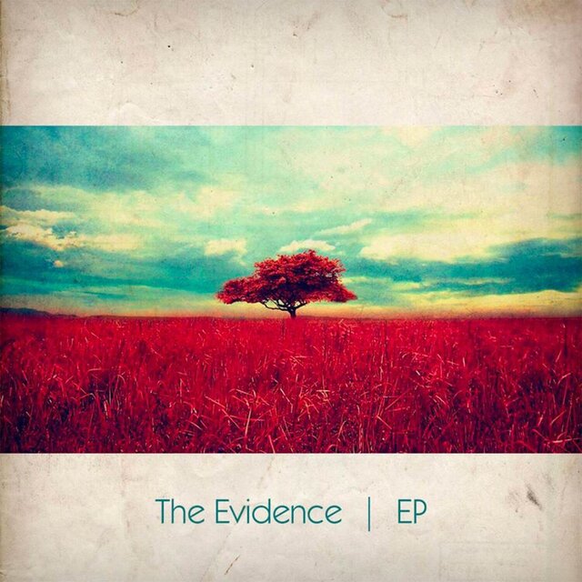 The Evidence
