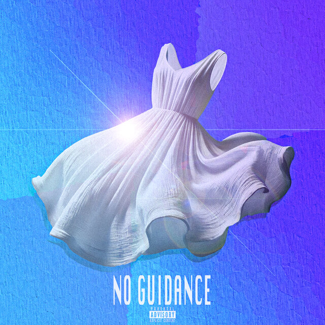 No Guidance