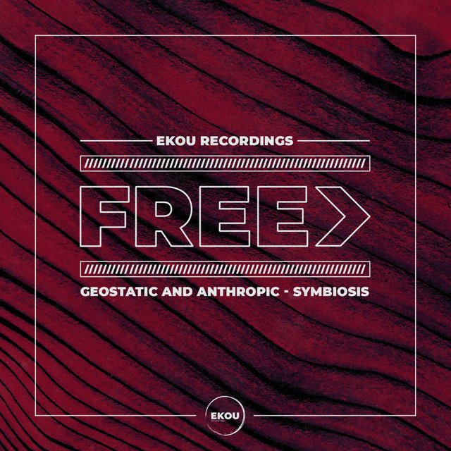 Symbiosis (Original Mix)