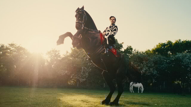 Daylight (Official Video)
