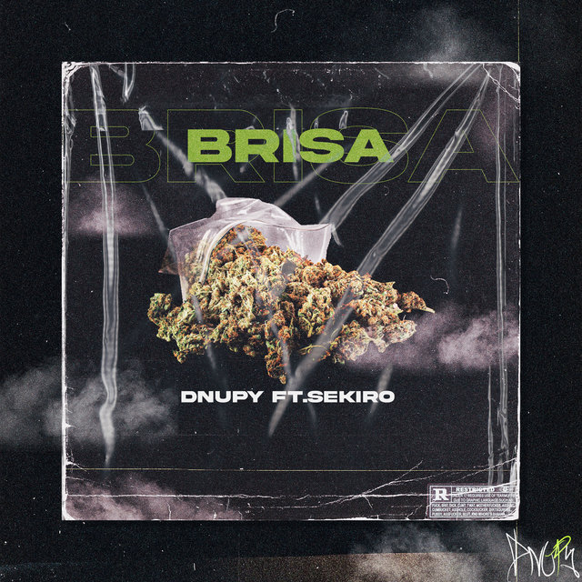 Brisa