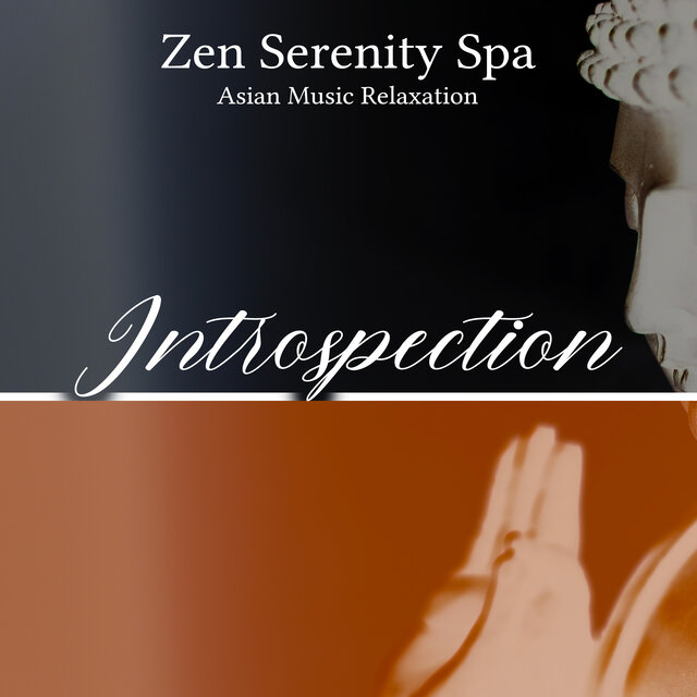 Introspection