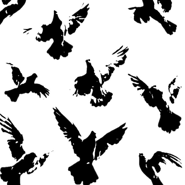 pigeons