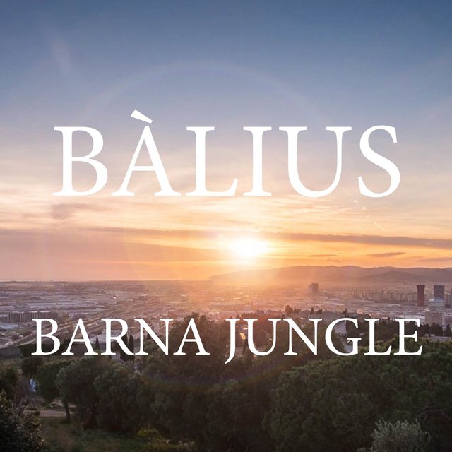 Barna Jungle