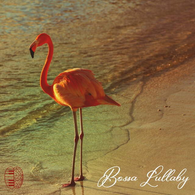 Bossa Lullaby