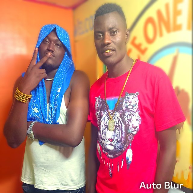 Mimba ya mwisho