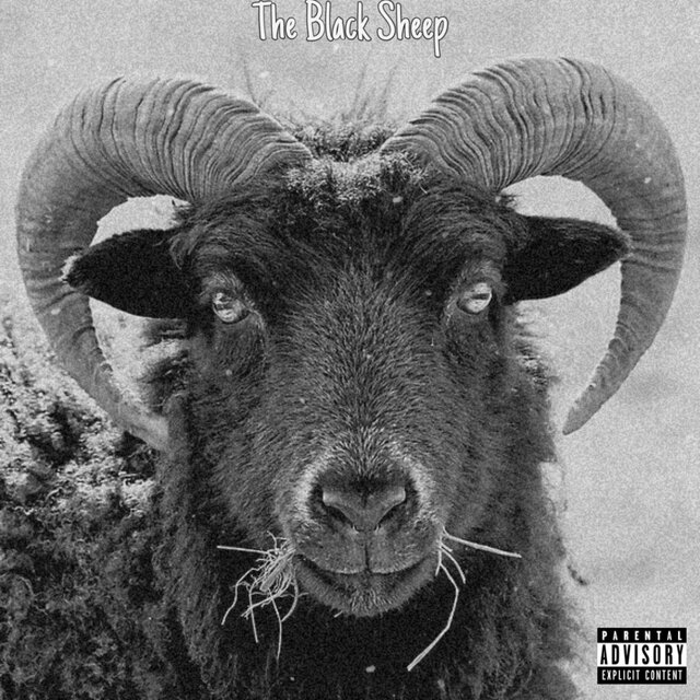 The Black Sheep
