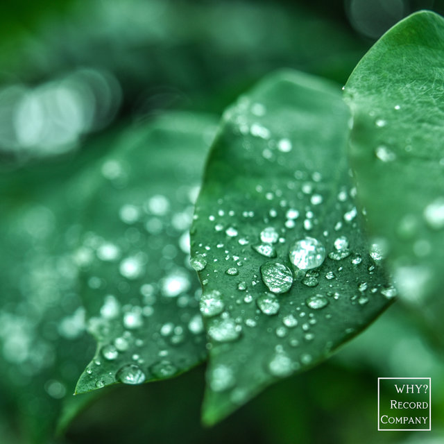 the leaves grew heavy under the weight of the water (Weeping Sun Remix)