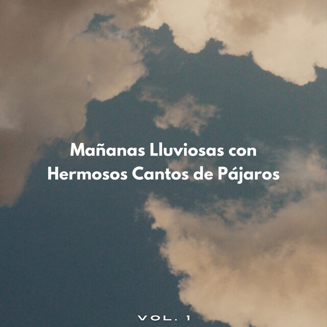 Mañanas Lluviosas Con Hermosos Cantos De Pájaros Vol. 1
