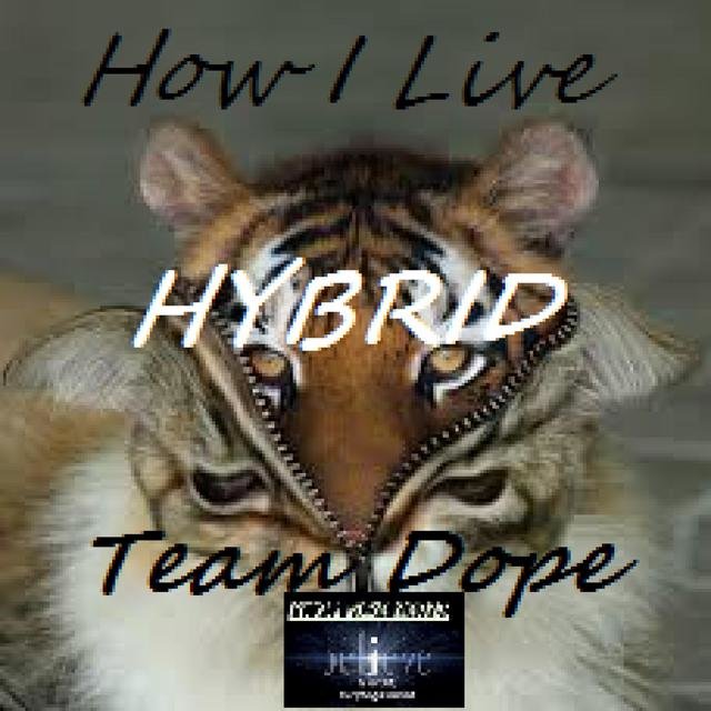 How I Live