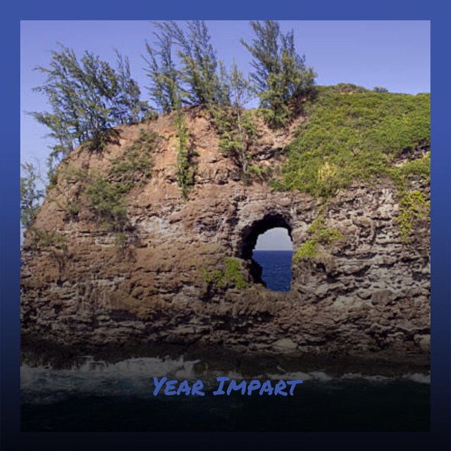 Year Impart