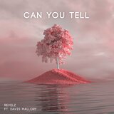 Can You Tell (Extended Mix)