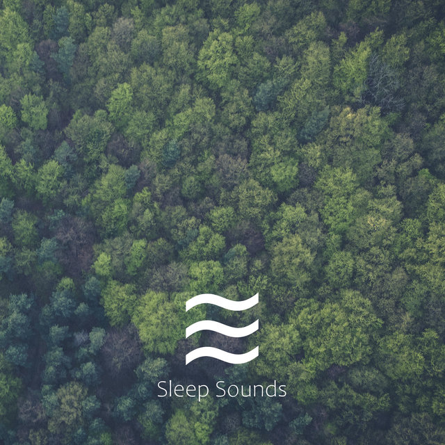 Relaxation Noises of Rain for Sleep and Relief