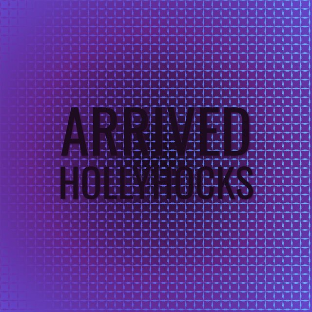 Arrived Hollyhocks