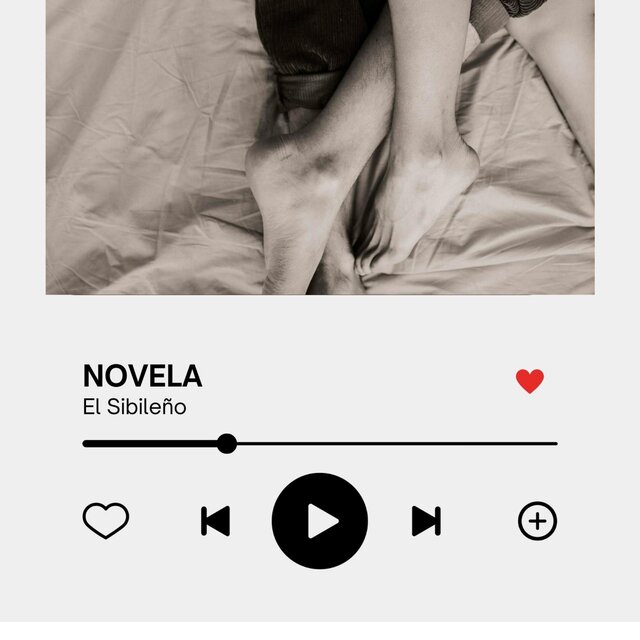 El Sibileńo Novela