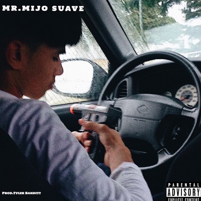 Mr. Mijo Suave