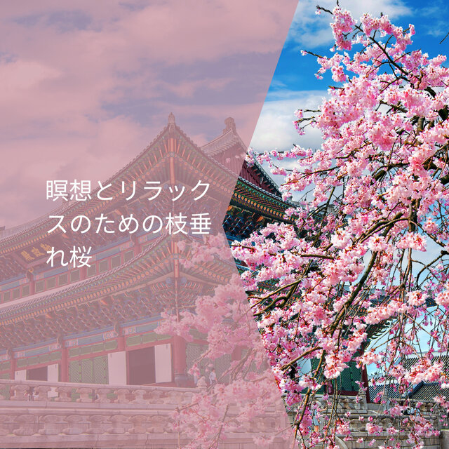 瞑想とリラックスのための枝垂れ桜