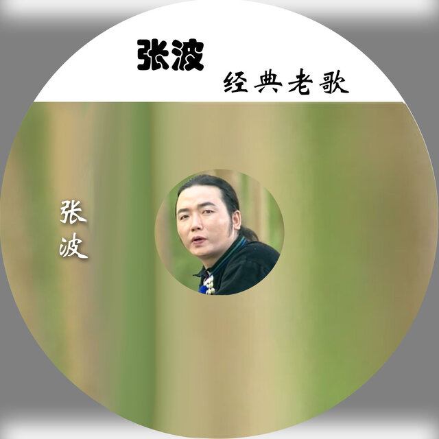 张波经典老歌