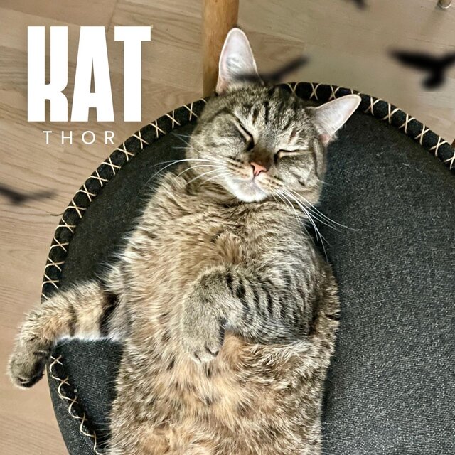 KAT