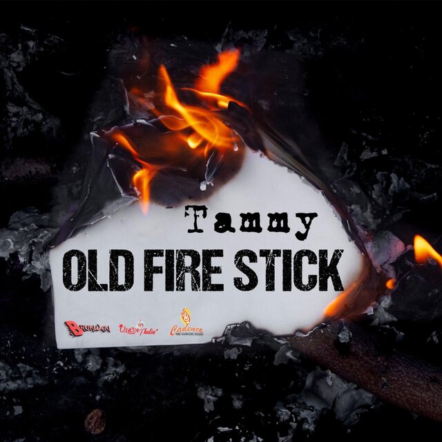 Old Fire Stick Single
