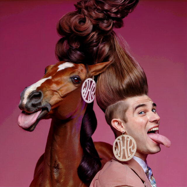 Horse in this House