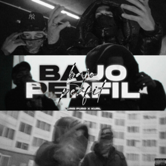 BAJO PERFIL
