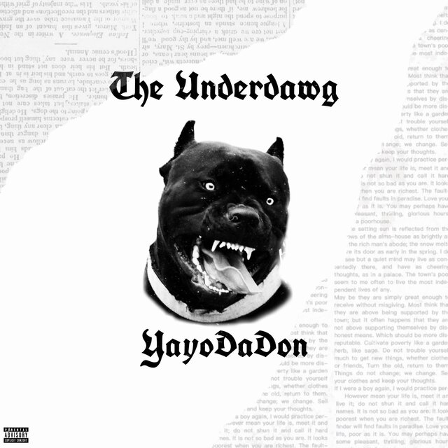 Underdawg