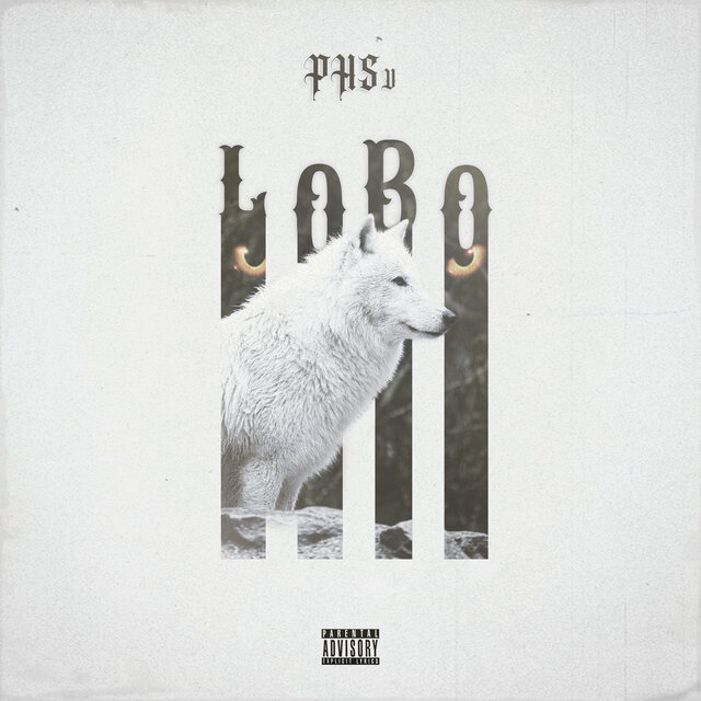 Lobo