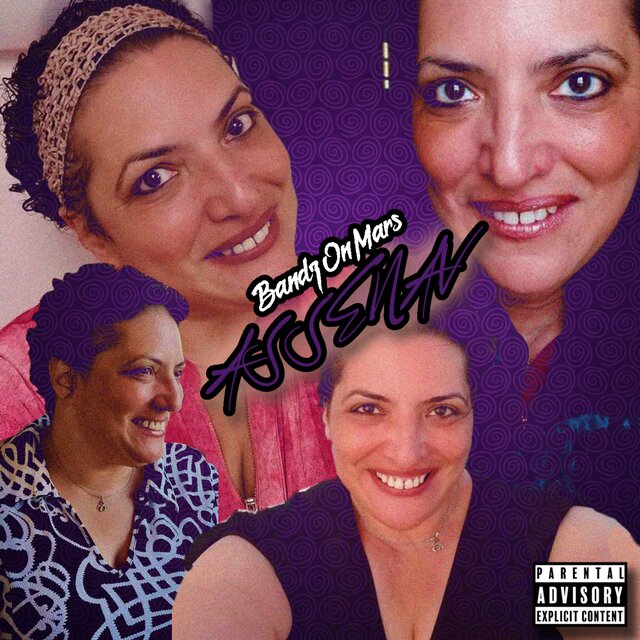 Assenav