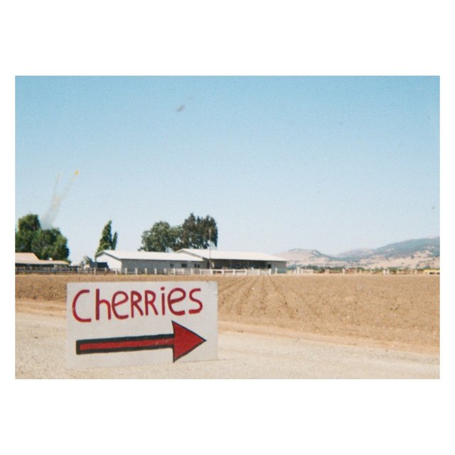 Cherries