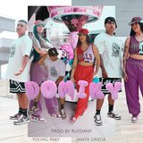 Domiky