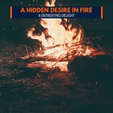Steady Campfire in Jungle