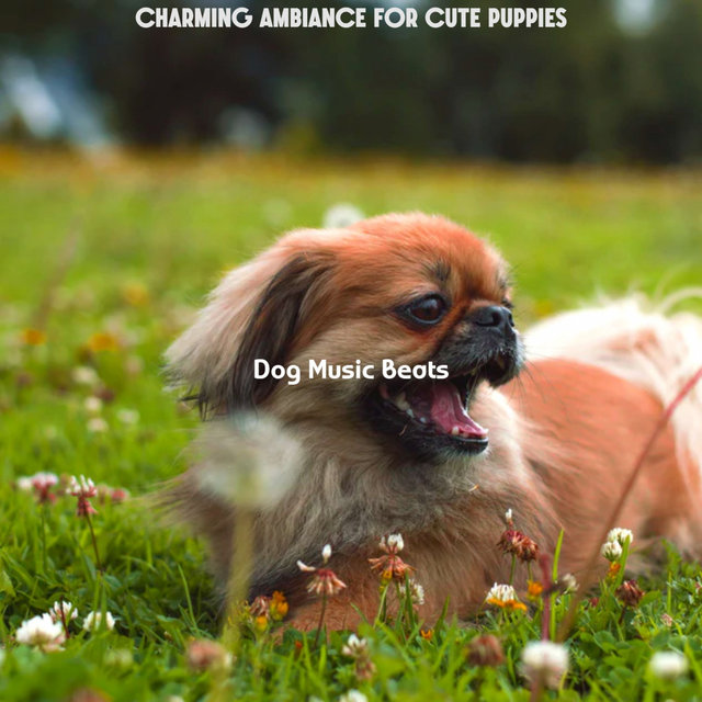 Charming Ambiance for Cute Puppies