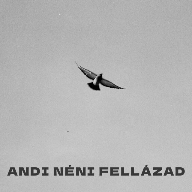 Andi néni fellázad