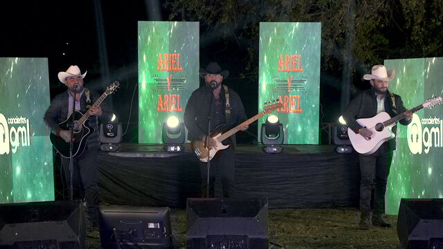 El Palito De Pino (En Vivo)