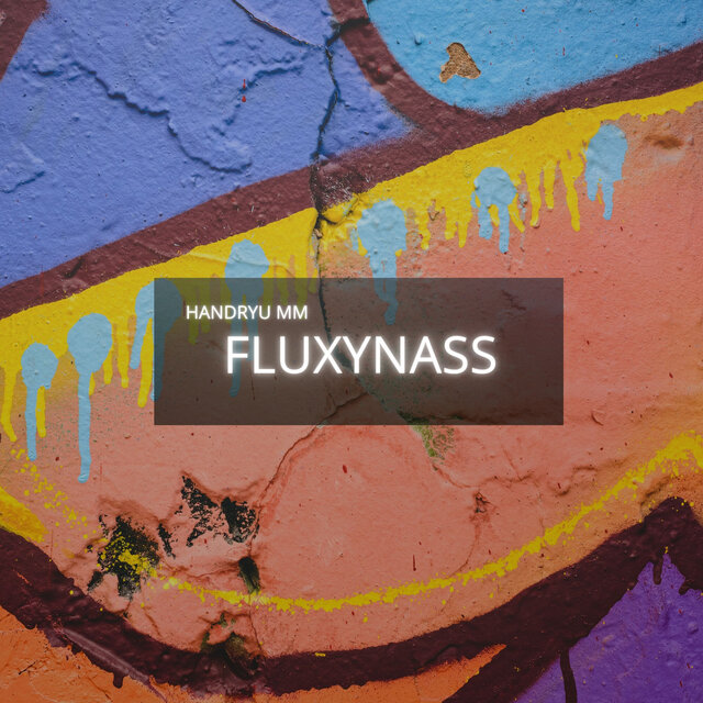 FLUXYNASS