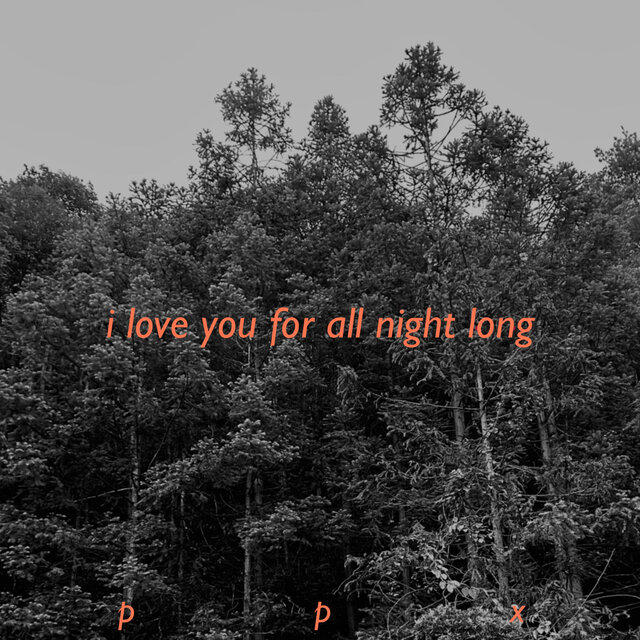 I Love You for All Night Long