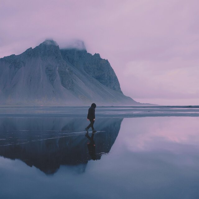 Into the Wild