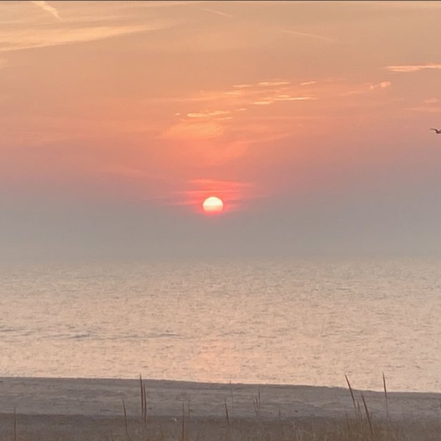 Dawn